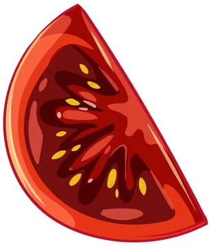 Vibrant Tomato Slice Vector Illustration Illustration