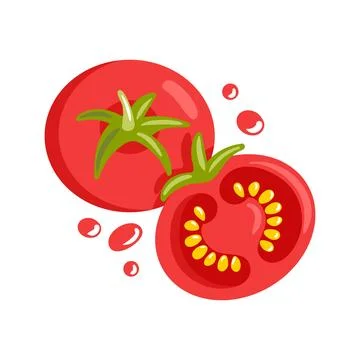 Vibrant tomato vector illustration featuring glossy red skin, subtle highlights Stock Illustration
