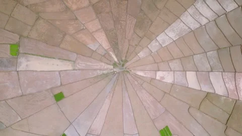 Vibrant Top Down Aerial Shot of Segmented Spiderweb Paddy Terraces 스톡 동영상 340119900