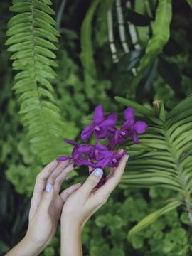Vibrant Touch of Nature Stock Photos
