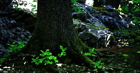 Vibrant tree base with lush green leaves and rocky background in sunlight Stock Illustration