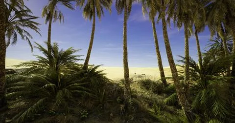 Vibrant tropical landscape with palm trees and sandy beach under clear sky 스톡 일러스트