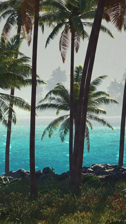 Vibrant tropical scene with palm trees and blue ocean water in the background Stock Footage 342149845