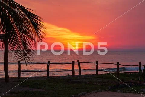 A vibrant tropical sunset on the beach in Mexico with Palm trees Stock Photos
