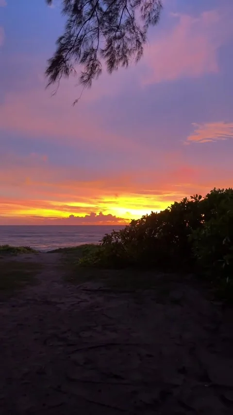 Vibrant Tropical Sunset Over Ocean Waves Stock Footage 342267046