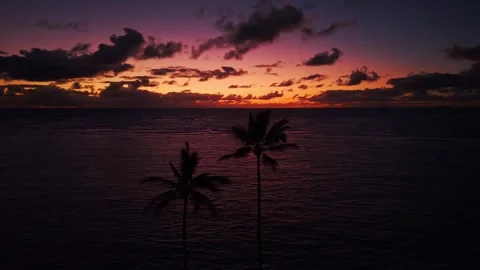 Vibrant tropical sunset with palm trees over ocean in Ka'a'awa Hawaii 1 Stock Footage 346427251