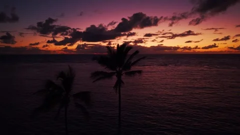 Vibrant tropical sunset with palm trees over ocean in Ka'a'awa Hawaii 2 Stock Footage 346427258