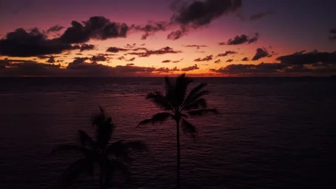 Vibrant tropical sunset with palm trees over ocean in Ka'a'awa Hawaii 3 Stock Footage 346427270