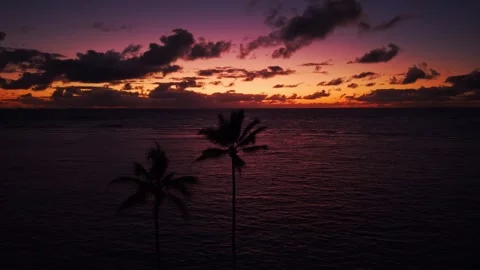 Vibrant tropical sunset with palm trees over ocean in Ka'a'awa Hawaii 4 Stock Footage 346427273