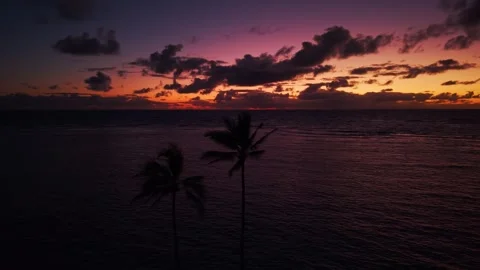 Vibrant tropical sunset with palm trees over ocean in Ka'a'awa Hawaii 5 Stock Footage 346427277