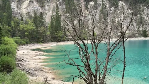 Vibrant Turquoise Lake with Bare Trees in Jiuzhaigou Valley, Sichuan 動画素材 337328845