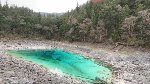 Vibrant Turquoise Lake Water and Rocky Shoreline in Jiuzhaigou, Sichuan 库存影片 336882653