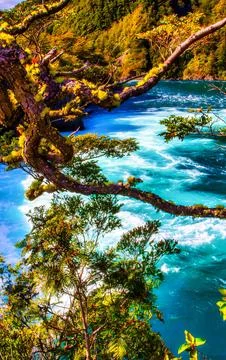 Vibrant Turquoise River Flows Through Lush Green Forest With Autumn Foliage.. Stock Photos