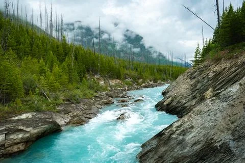 A vibrant turquoise river Stock Photos