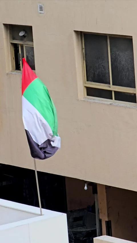 A vibrant UAE flag proudly waves against a building 스톡 동영상 311765794