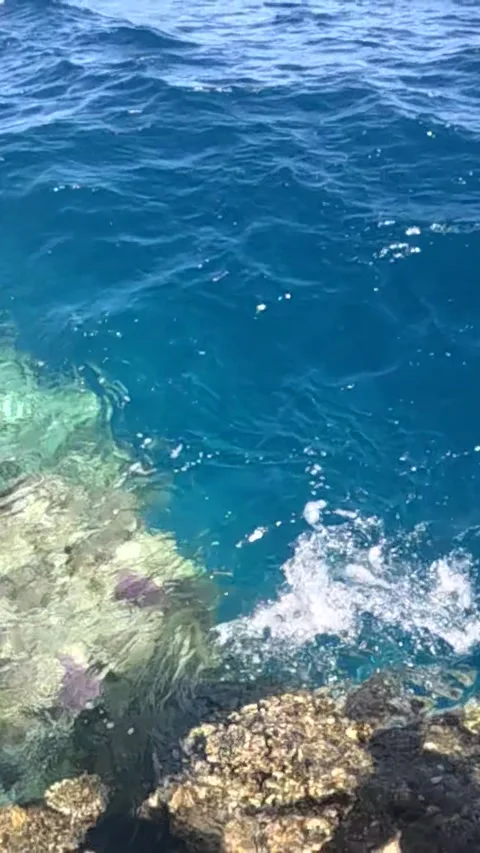 Vibrant Underwater Scene Capturing Crystal Clear Waters and Colorful Coral Reefs 库存影片 330096740