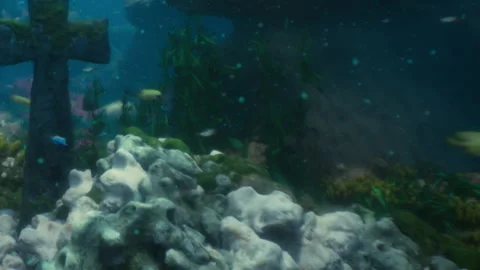 Vibrant Underwater Scene With Corals and Fish in a Hidden Oceanic Oasis 스톡 동영상 344908747