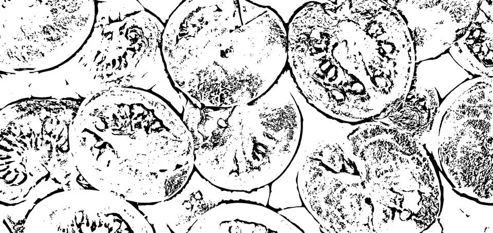 Vibrant vector grunge texture of sliced tomatoes Illustrazione stock