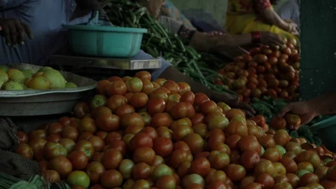 Vibrant Vegetable Bounty - Hand-Picked Freshness in Every Bunch Stock Footage 320879388