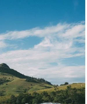 Vibrant view of green trees under a blue sky with with clouds Stock Photos