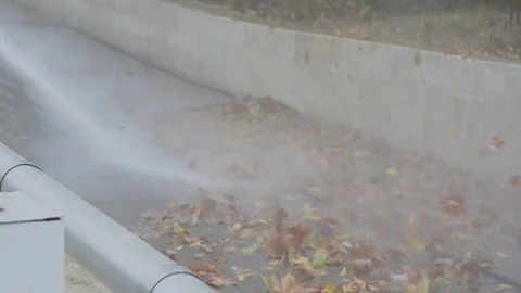 Vibrant water jets clear fallen leaves from a road in autumn Stock Footage 291343778