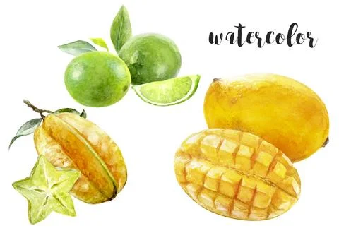 Vibrant watercolor illustrations of mango, lime, and starfruit for lively summer Stock Illustration