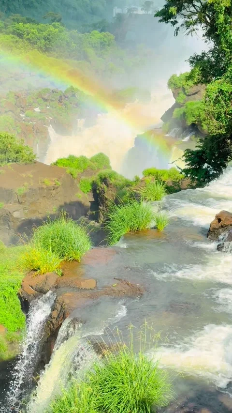 A vibrant waterfall scene featuring lush greenery, cascading water, and a vivid Stock Footage 276618485