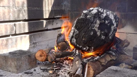 Vibrant wood fire burning Stock Footage 264069249
