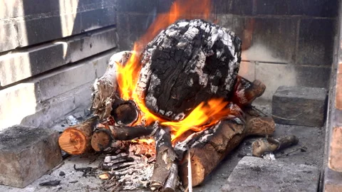 Vibrant wood fire burning Stock Footage 264069351