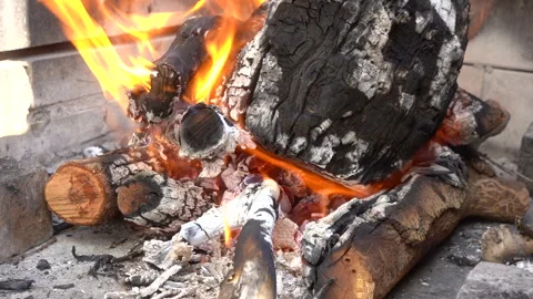 Vibrant wood fire burning Stock Footage 264069451
