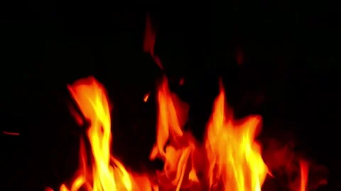 Vibrant Yellow and Red Campfire Flames on Black Background Stock-Footage 341980552