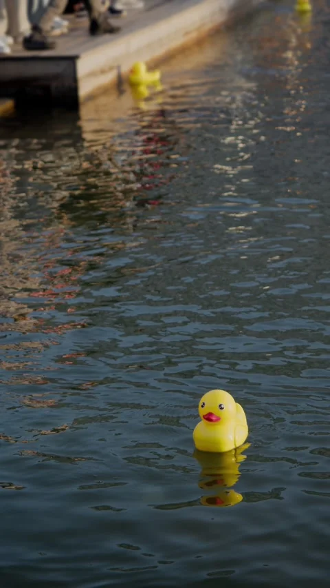 Vibrant yellow toy breaks surface patterns heading toward watching group near Stock Footage 317508319