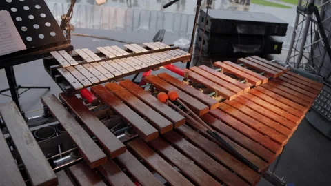The Vibraphone is Now Fully Prepared and Ready for a Captivating Performance on Stock Footage 287240375