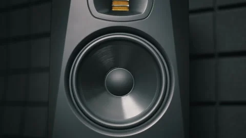 Vibrating Black Speaker Woofer Side View Stock Footage 321311512