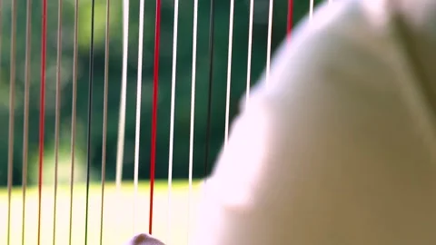 Vibrating Harp Strings, Close Up, Slow Motion Video stock 161129019