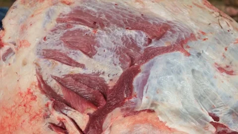 Vibrating meat Stock Footage 245338777