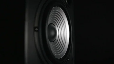 Vibrating Working Speaker 스톡 동영상 76656510