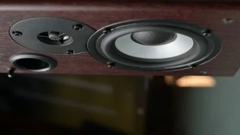 Vibration of the speaker diffuser from the pressure of music Stock Footage 194362363