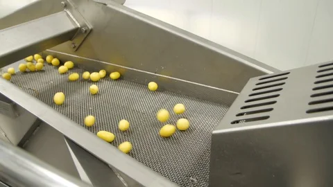 Vibration step of selecting vegetables. Washed and clean potatoes on blue Stock Footage 128204830