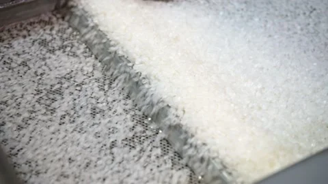 Vibratory conveyor. White plastic granules move under the influence of vibration Stock Footage 130641629
