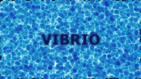 Vibrio – Bacterium on a Blue Water Background Stock Footage 337815685