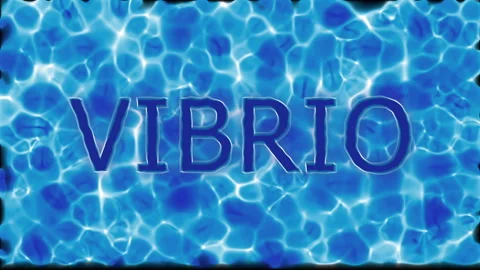 Vibrio – Bacterium on a Water Background Stock Footage 337815655