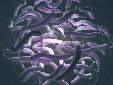Vibrio Cholerae Bacteria Stock Illustration