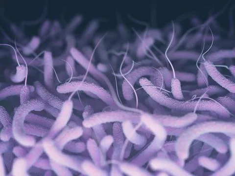 Vibrio Cholerae Bacteria Stock Illustration
