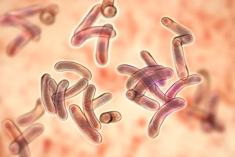 Vibrio cholerae bacteria Illustrazione stock