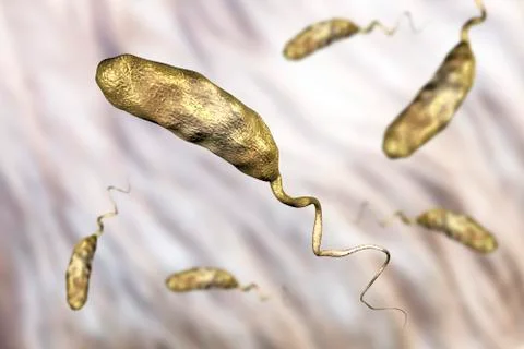Vibrio cholerae bacterium Stock Illustration