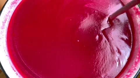 Viburnum jam Stock Footage 163156091