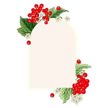 Viburnum rowan rectangle red berry vector frame rustic floral bouquet Stock Illustration