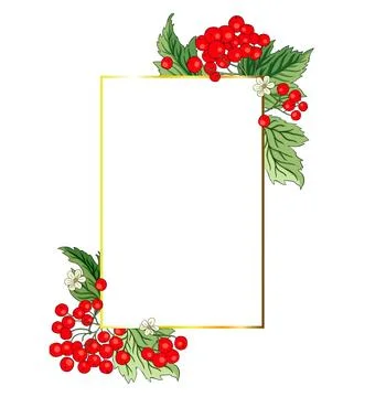 Viburnum rowan rectangle red berry vector frame rustic floral bouquet Stock Illustration