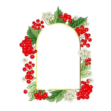 Viburnum rowan red berry vector frame rustic floral bouquet illustration Illustrazione stock